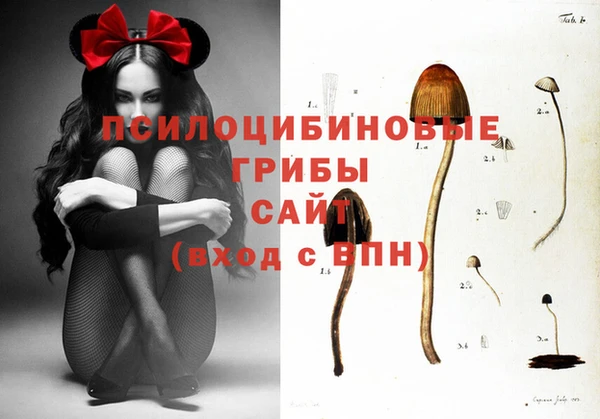 стафф Баксан
