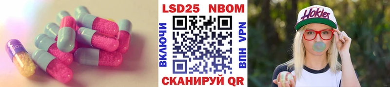 дарнет шоп  Отрадное  kraken ONION  Лсд 25 экстази кислота 